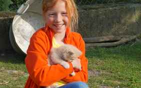 Ich will noch zu den Kaninchen und Ziegen! Oder doch noch ein bisschen das Kätzchen kraulen...